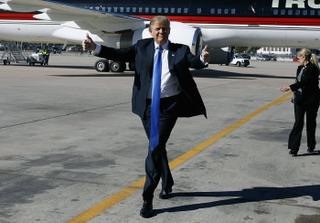 Illustration for article titled Trump Ties